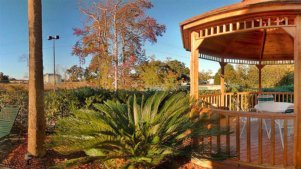 كورتيارد ميرتل بيتش بير فوت لاندينج Briarcliffe Acres المظهر الخارجي الصورة